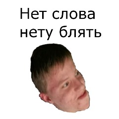 HLEBUSHEK77