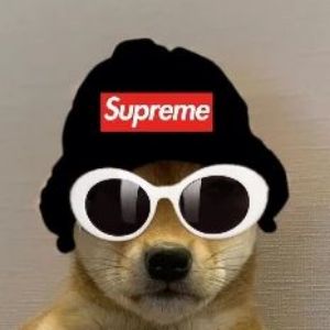 _G0nc410_ avatar