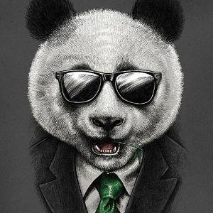 perlitek avatar