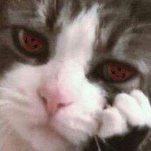 SayAlex avatar