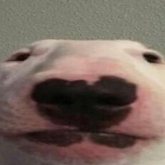 hugomedw