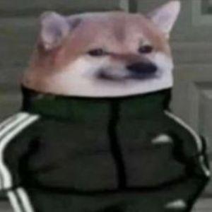 ToNieJ avatar