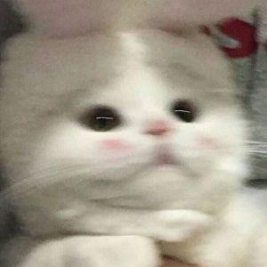 MATT_0X