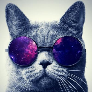Player PeachBadger avatar