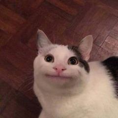 Gumiiii avatar