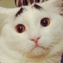 PatrikZero avatar