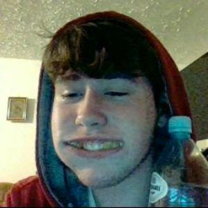 PokaCzajnik avatar