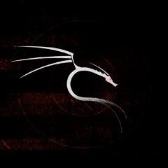 shnkby avatar
