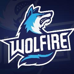 Player Wellgss avatar