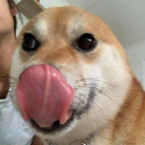 Player lemonlambo69 avatar