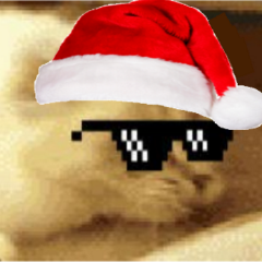 huskT avatar