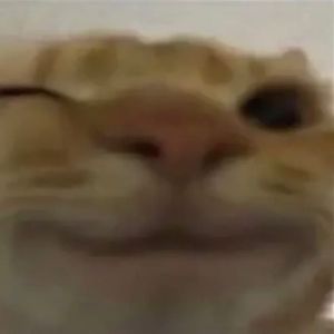Faceit profile picture for @comforting