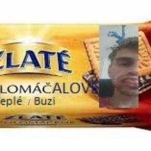 strudlicek avatar