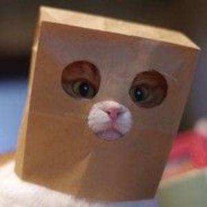 onmyn3ck avatar