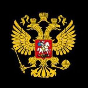 gabdrafikov avatar