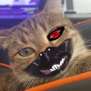 edw4rd2k avatar