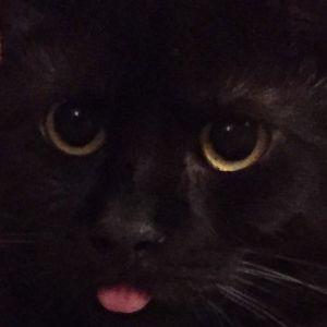 wtannerb avatar