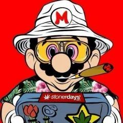 ZmOnEy avatar