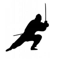 Player vortENINJA avatar