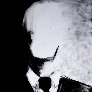 x1337 avatar