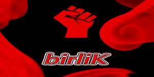 birl1K avatar