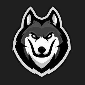 rexogg avatar