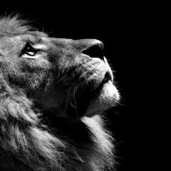 Black_White7
