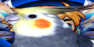 Hubii avatar