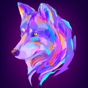 WOLF-_-- avatar