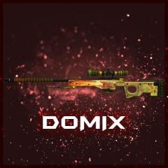 DomiX898