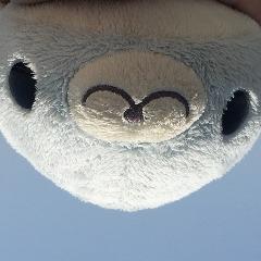 DotFour01 avatar