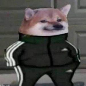 B0neB0Y avatar