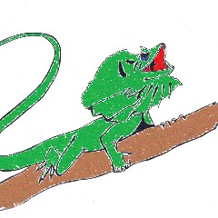 ovillane
