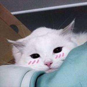 Rynnxx avatar