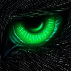 5apsan avatar