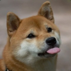 bariga_a4 avatar