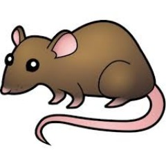 miiQ-