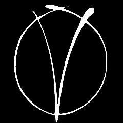 VeYOU