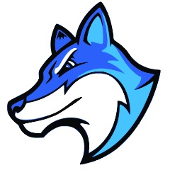 Faceit avatar