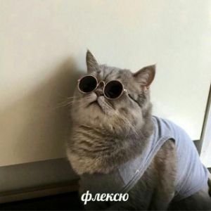 ItsRudik