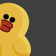 team_MrDuck1
