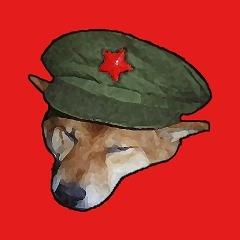 Dograde avatar