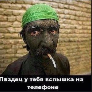 team_PipTsar