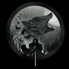 tovko avatar