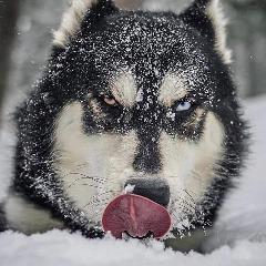 andzejparys avatar