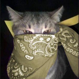 Player Letov01 avatar