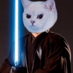 Senpai_ara avatar