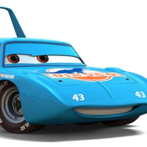 RAYcoon