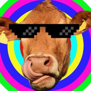 Player viMZ avatar
