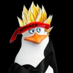 -_KoVaCs_- avatar